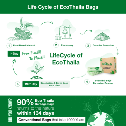 Eco Thaila