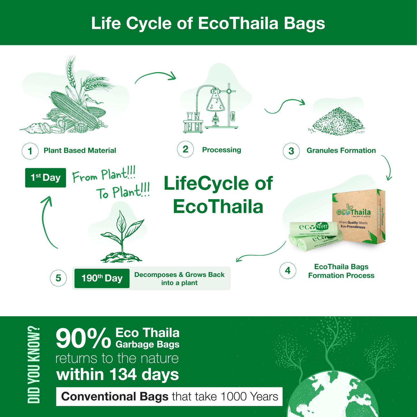 Eco Thaila - Small