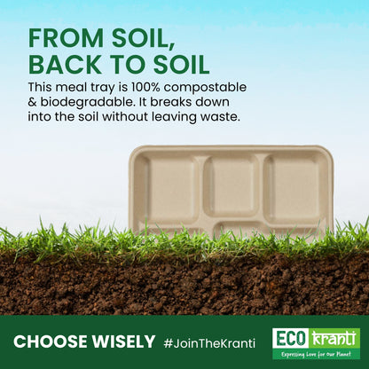 ECO kranti – 5 Compartment Bagassse Meal Tray | Pack of 25